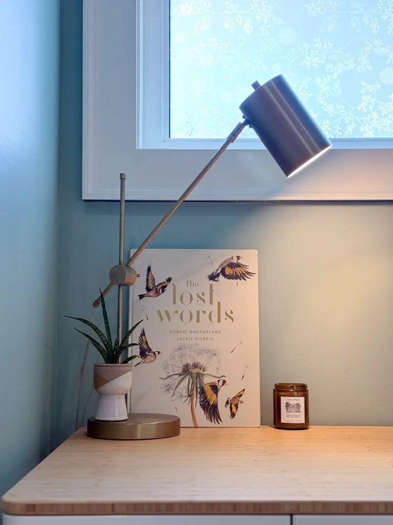 A desk with a potted plant, a book titled "The Lost Words" by Robert Macfarlane and Jackie Morris, a candle, and a modern adjustable desk lamp against a light blue wall and a window with frosted snowflake-patterned glass.