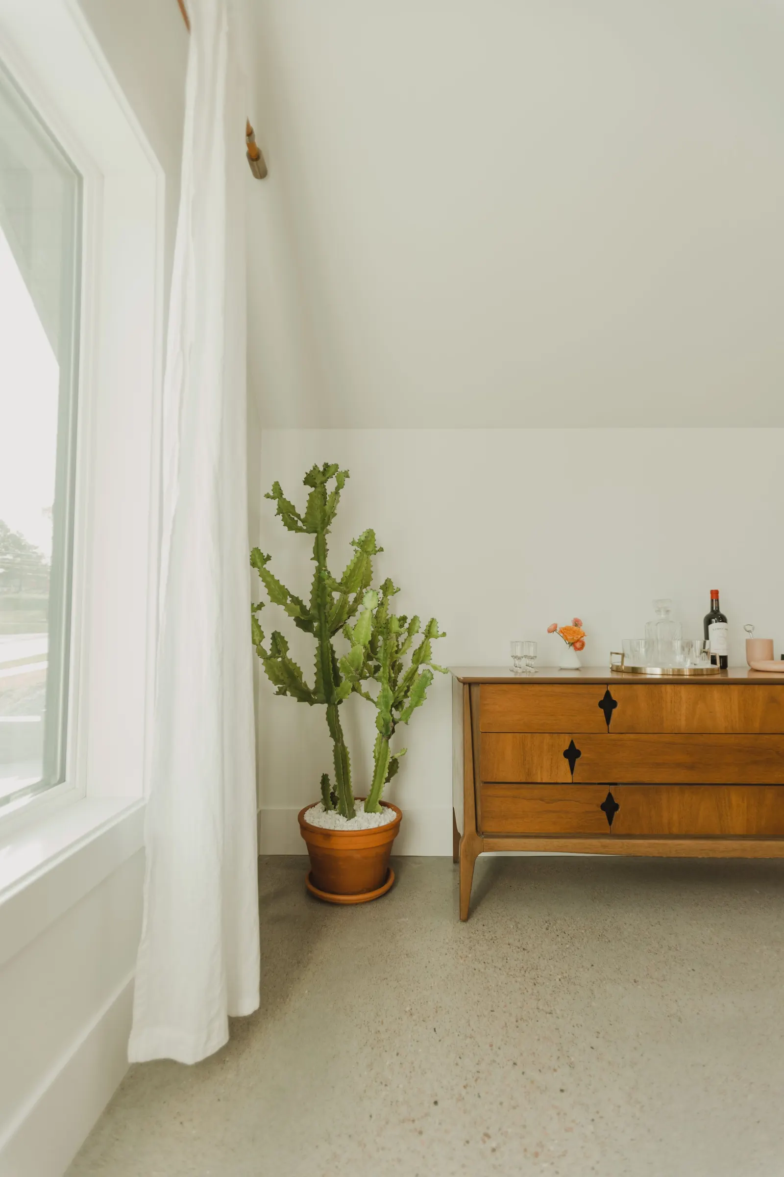A large potted cactus next to a wooden sideboard with drinks and a flower arrangement in a white vase in a room with white walls, beige carpet, and a window with white curtains.