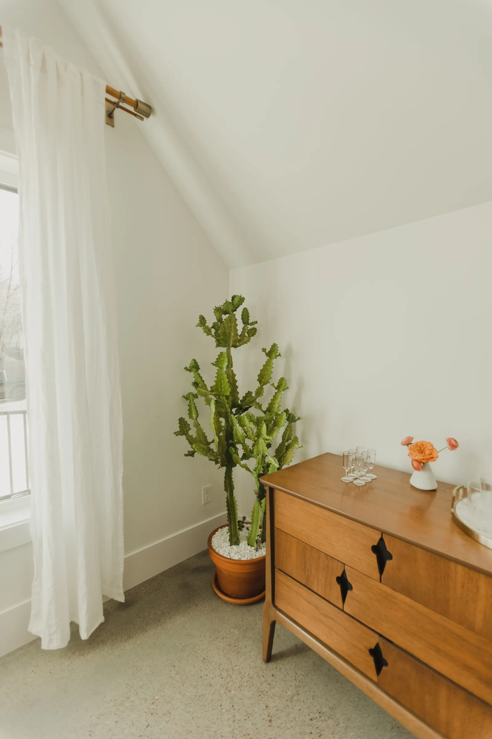 Large cactus in a brown pot placed on white gravel next to a wooden dresser with decorative items and glassware, beside a window with white curtains in a room with white walls.