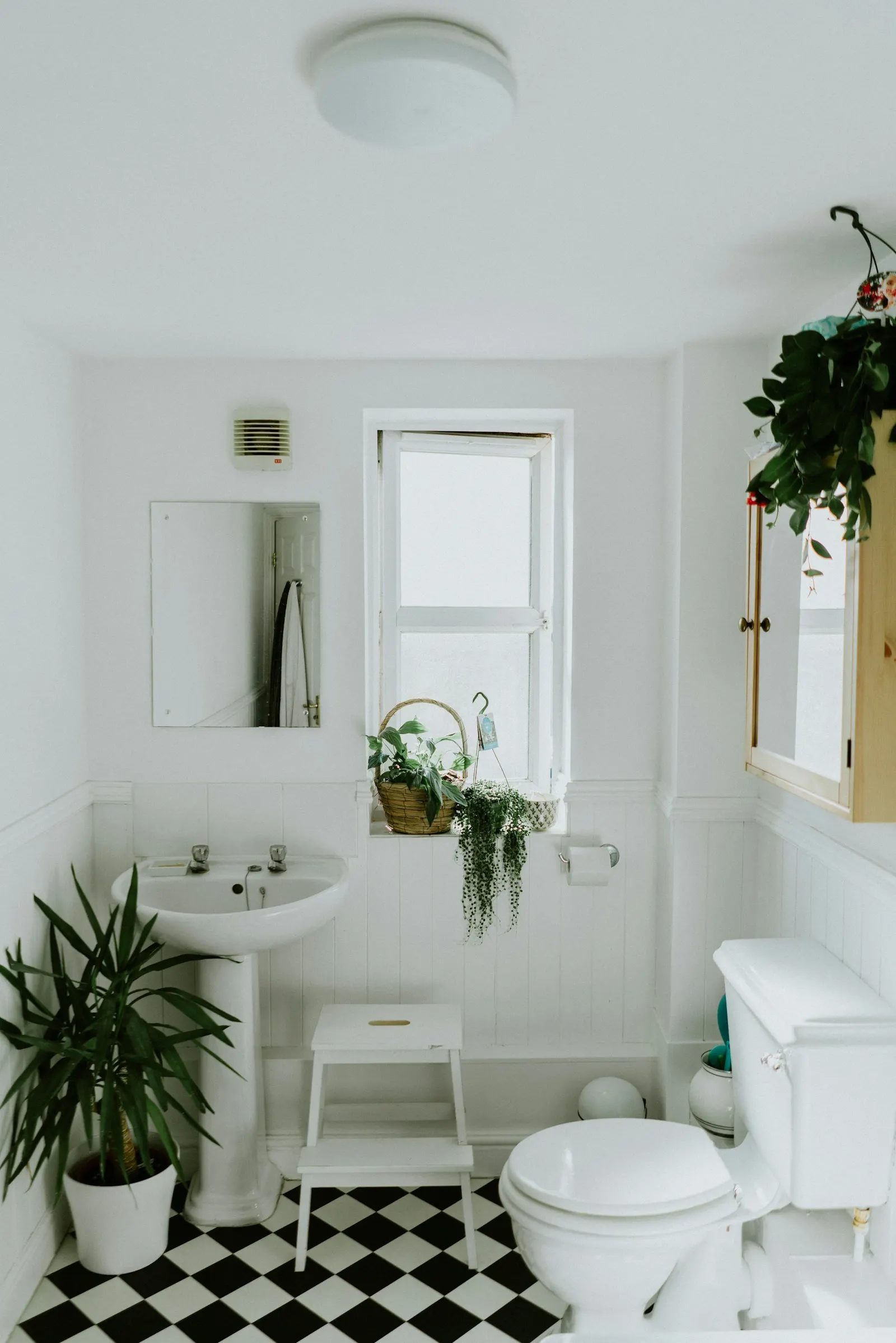 A small, bright bathroom with white walls, a window with plants on the sill, a white pedestal sink, a mirror, a toilet, a wooden cabinet, a small white step stool, and black-and-white checkered flooring.